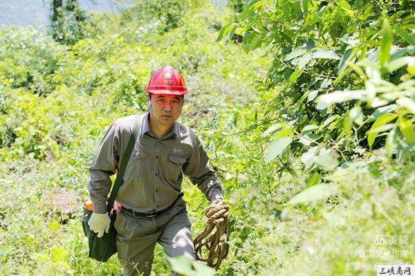 宜昌好人——张平